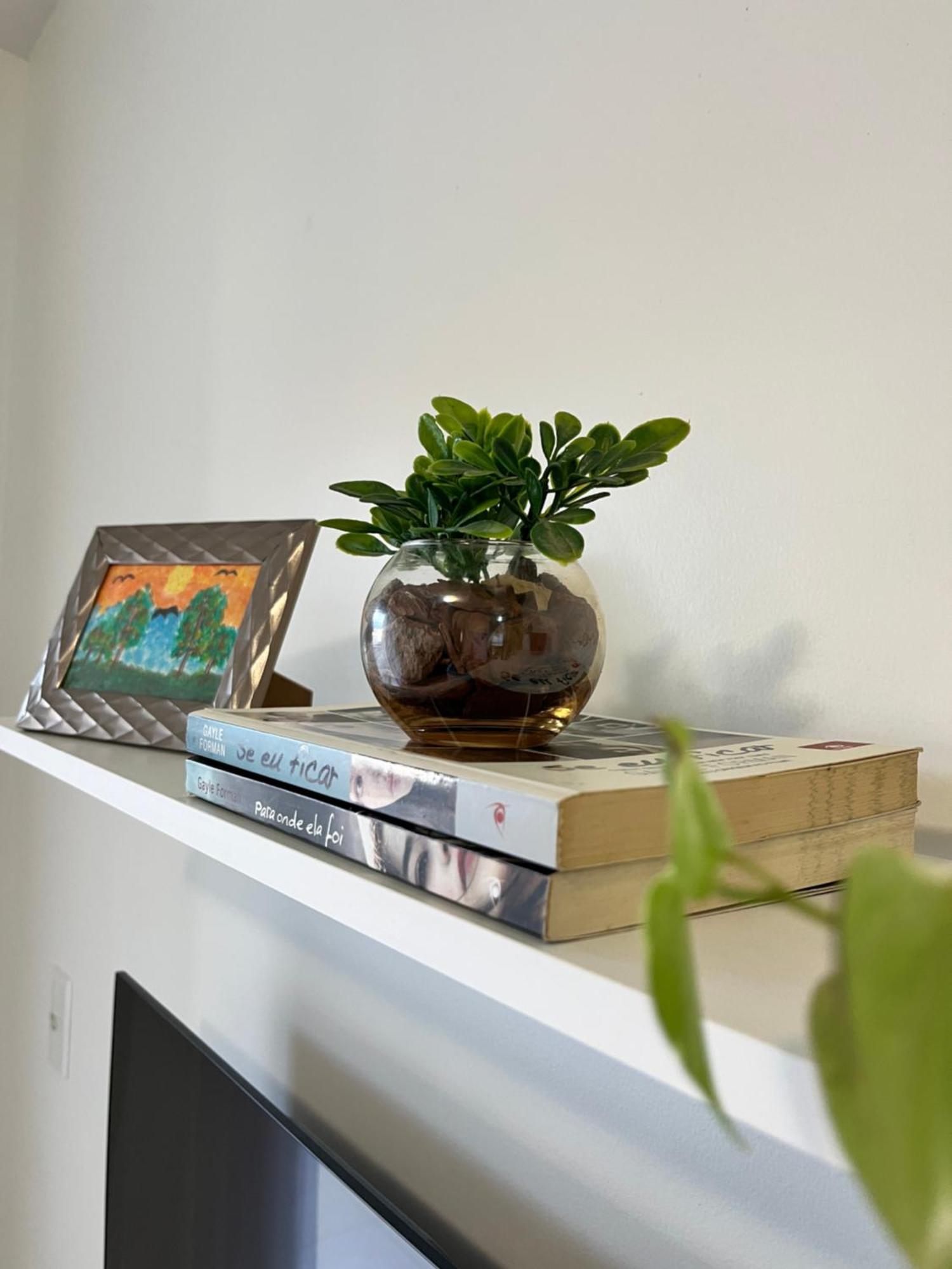Ape Aconchego Apartment บรุสเก ภายนอก รูปภาพ